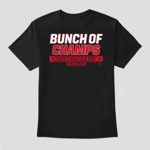 bunch of champs shirt – carolina hurricanes 2026 stanley cup roster tee